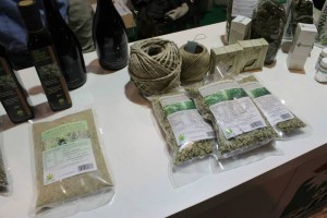 canapa, semi ed olio