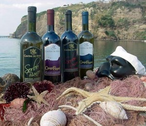 i-vini-di-cantina-del-mare