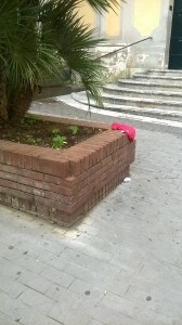 WP_20151006_14_05_42_Pro