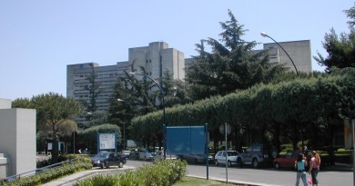 2_viale