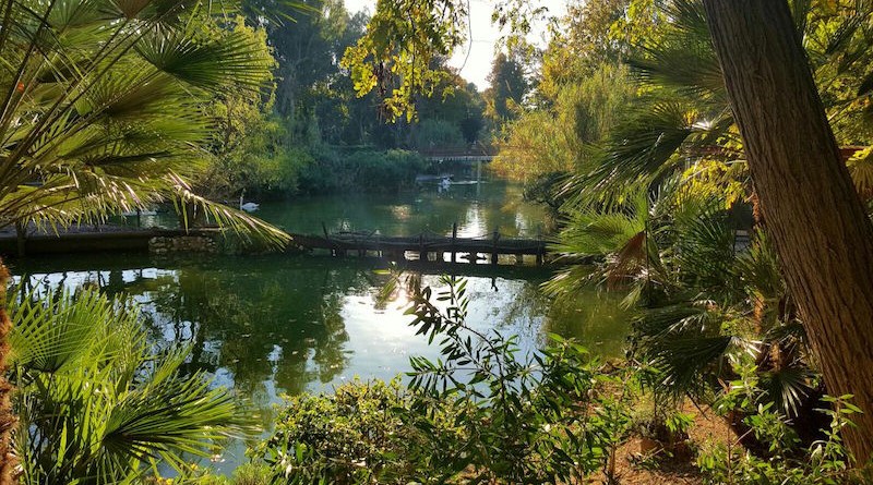 zoo