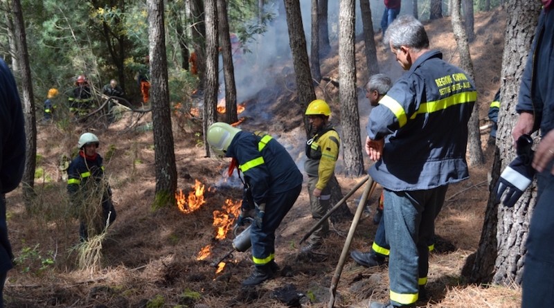 fuoco prescritto