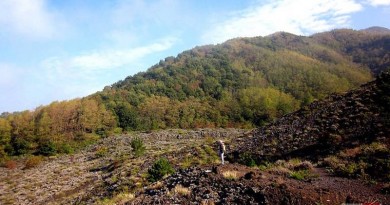 vesuvio fiume di lava