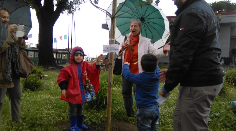 Albero per la vita a Chiaia_1