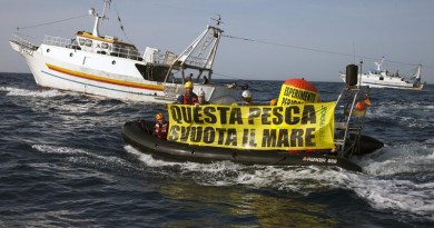 Greenpeace activists hold a banner reading in Italian "This
Fishery Empties The Sea" in front of the 'Santo Padre' and 'Ardito' pair trawlers. The action is to denounce unsustainable fishing in the Mediterranean, in the Strait of Messina.
Greenpeace is on a European tour to support and promote sustainable fishing as a vital part in the current reform of the European Common Fisheries Policy.