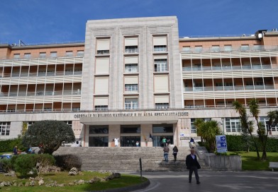 Monaldi, un ulivo secolare per ricordare Domenico