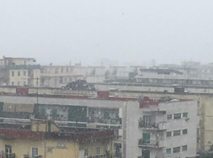 neve