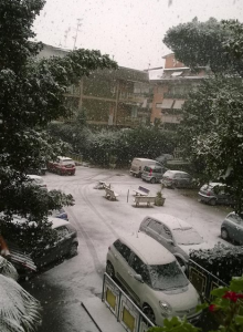 neve 8