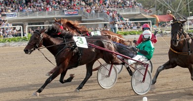 1/5/2018 Gran Premio Lotteria. Finale. URLO DEI VENTI (Enrico Bellei).
Foto Perrucci.