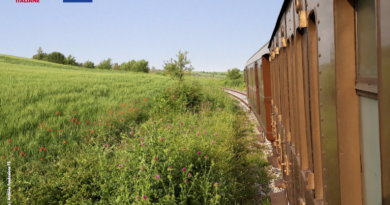 treno storico