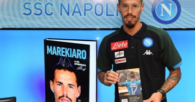 Hamsik