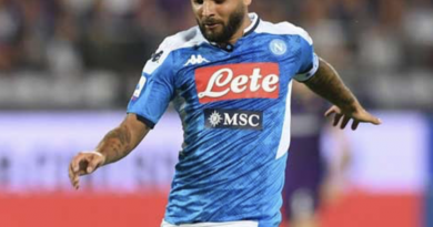 insigne