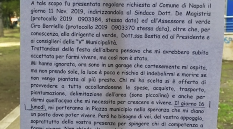 Schermata 2019-12-15 alle 17.09.54