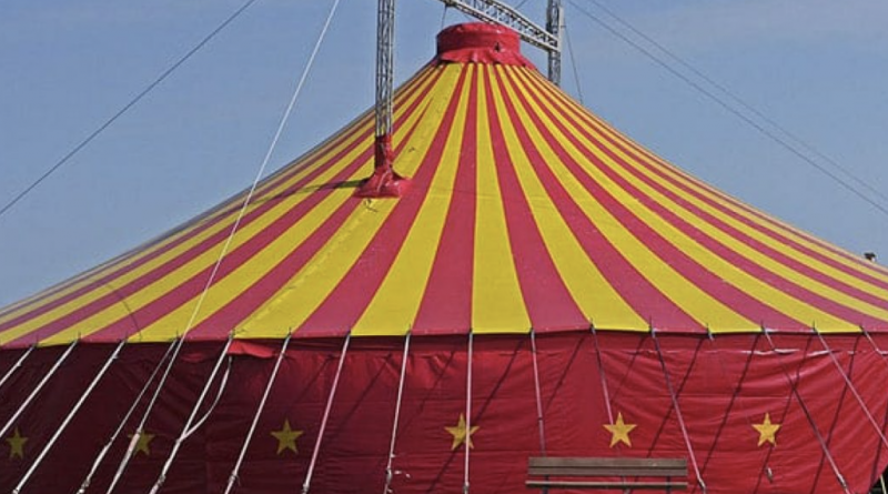 Circo