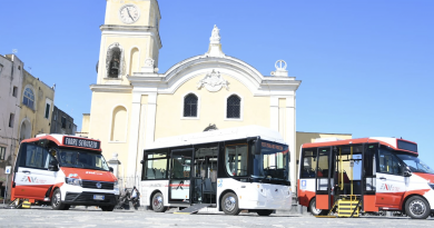 Procida bus