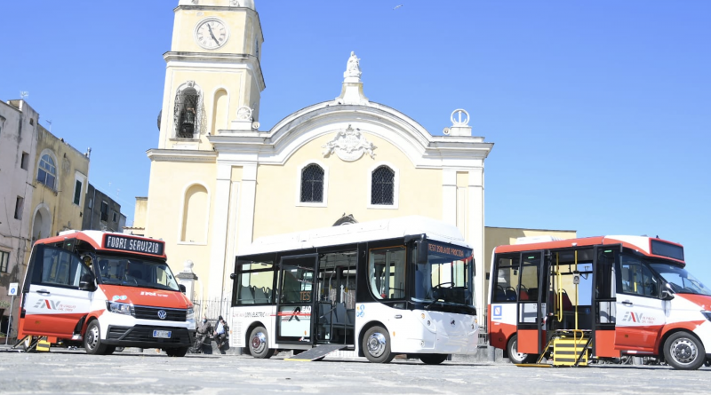 Procida bus