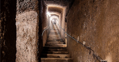 Galleria borbonica