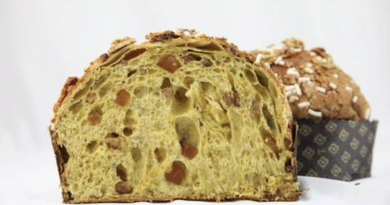 Panettone