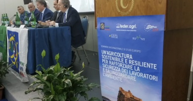 seminario ischia