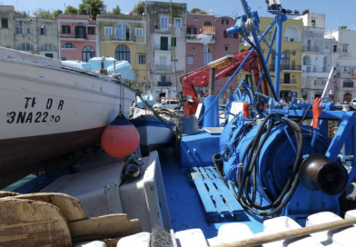 A Procida l’oro blu della Campania