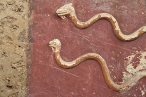 Serpenti agatodemoni in stucco Larario Regio IX