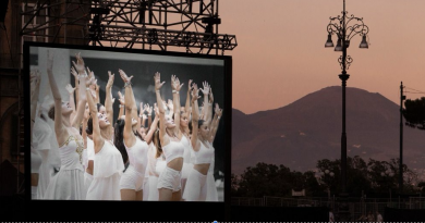 danza plebiscito