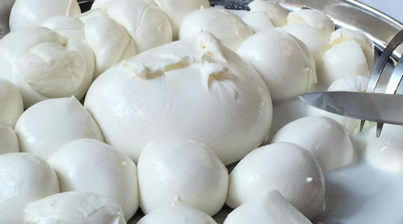 mozzarella