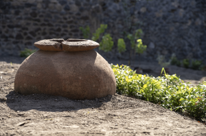 Pompei giardino