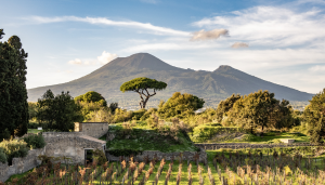 vino pompei