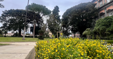 palazo reale GIARDINO