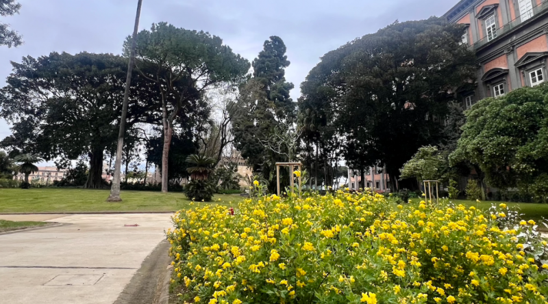 palazo reale GIARDINO