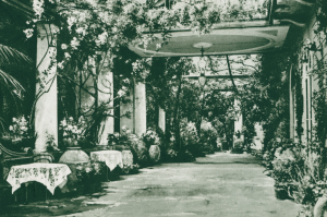 Capri
