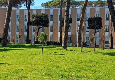 Giornata mondiale del donatore di sangue