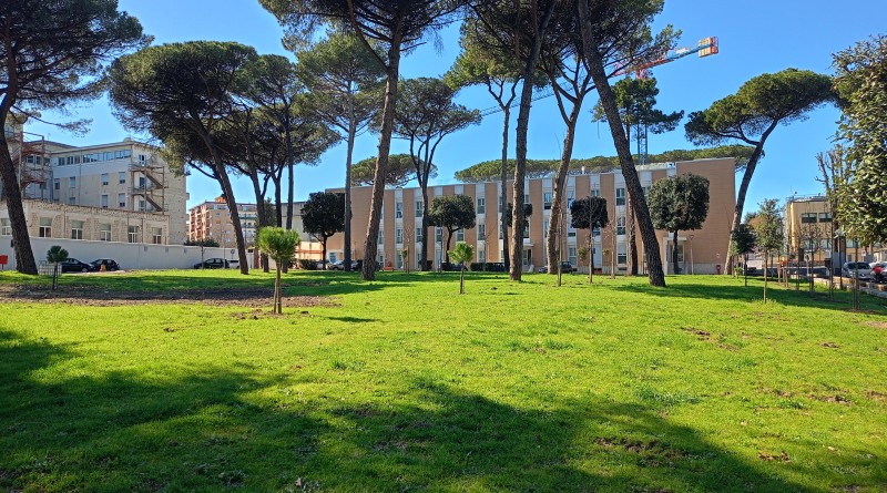 Da Singapore al Cardarelli per una grave neoplasia