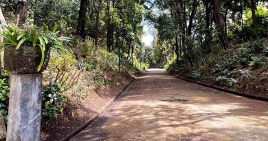 Floridiana, riapre l’ingresso di via Cimarosa