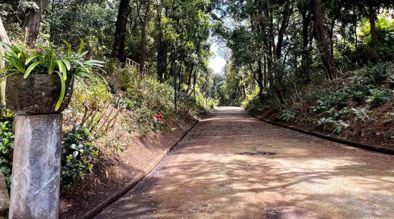 Floridiana, riapre l’ingresso di via Cimarosa
