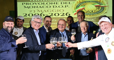 Provolone